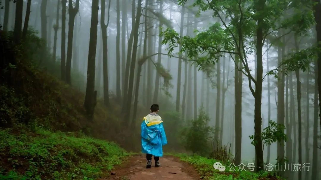 Longqingguan Pass in Weishan, Dali: Traversing the Ming Dynasty Mimeng Ancient Road, Entering a Misty Fairyland Forest in the Rainy Season - Image 12