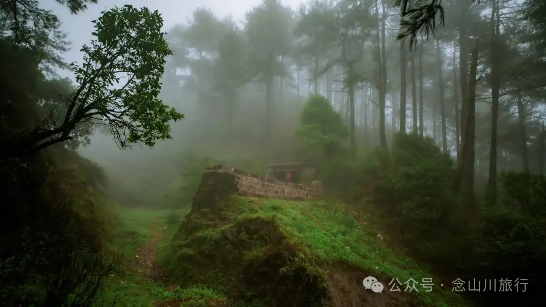 Longqingguan Pass in Weishan, Dali: Traversing the Ming Dynasty Mimeng Ancient Road, Entering a Misty Fairyland Forest in the Rainy Season - Image 16