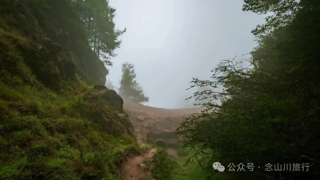 Longqingguan Pass in Weishan, Dali: Traversing the Ming Dynasty Mimeng Ancient Road, Entering a Misty Fairyland Forest in the Rainy Season - Image 18