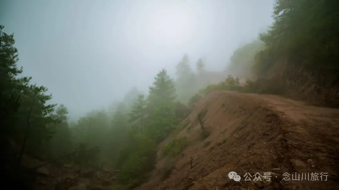 Longqingguan Pass in Weishan, Dali: Traversing the Ming Dynasty Mimeng Ancient Road, Entering a Misty Fairyland Forest in the Rainy Season - Image 19