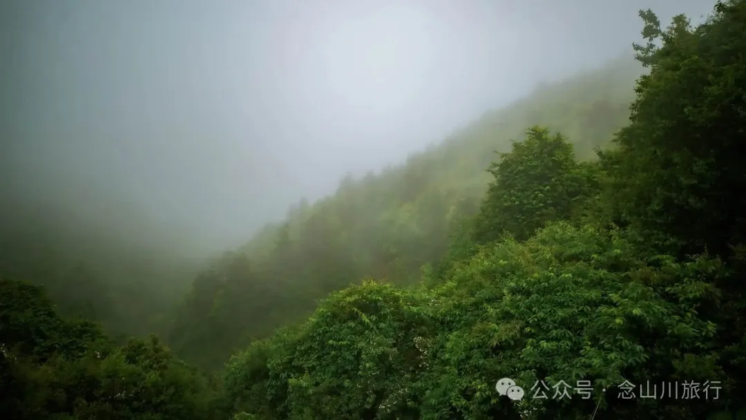 Longqingguan Pass in Weishan, Dali: Traversing the Ming Dynasty Mimeng Ancient Road, Entering a Misty Fairyland Forest in the Rainy Season - Image 22