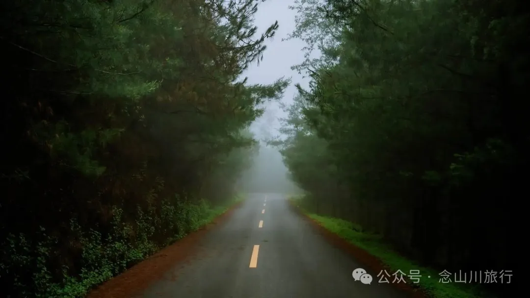 Longqingguan Pass in Weishan, Dali: Traversing the Ming Dynasty Mimeng Ancient Road, Entering a Misty Fairyland Forest in the Rainy Season - Image 24