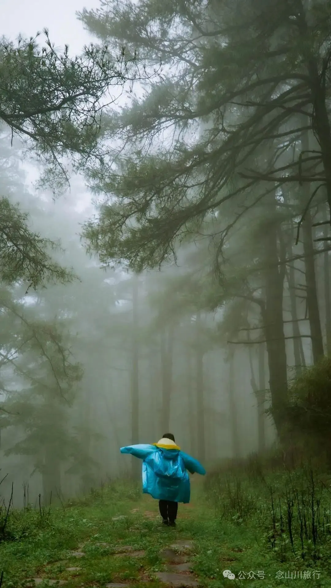 Longqingguan Pass in Weishan, Dali: Traversing the Ming Dynasty Mimeng Ancient Road, Entering a Misty Fairyland Forest in the Rainy Season - Image 25