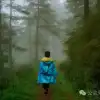 Longqingguan Pass in Weishan, Dali: Traversing the Ming Dynasty Mimeng Ancient Road, Entering a Misty Fairyland Forest in the Rainy Season