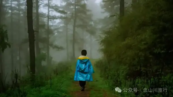 大理巍山隆庆关垭口:穿越明代的弥蒙古道,闯入雨季仙境般的迷雾森林