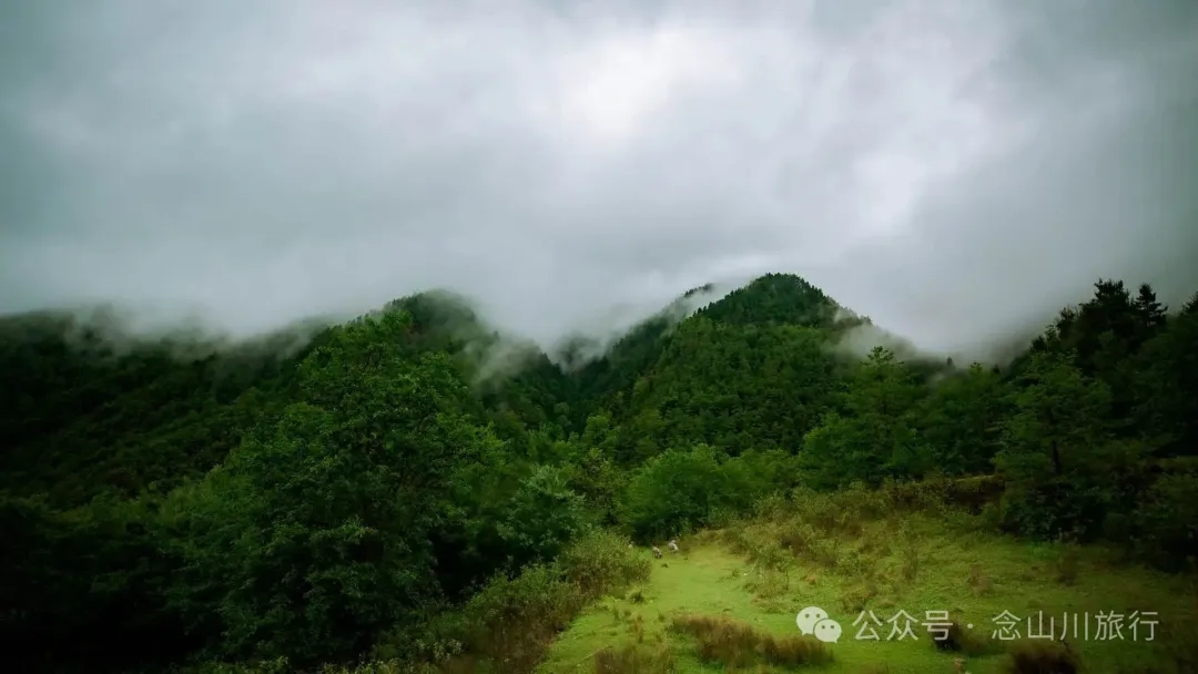 Longqingguan Pass in Weishan, Dali: Traversing the Ming Dynasty Mimeng Ancient Road, Entering a Misty Fairyland Forest in the Rainy Season - Image 4