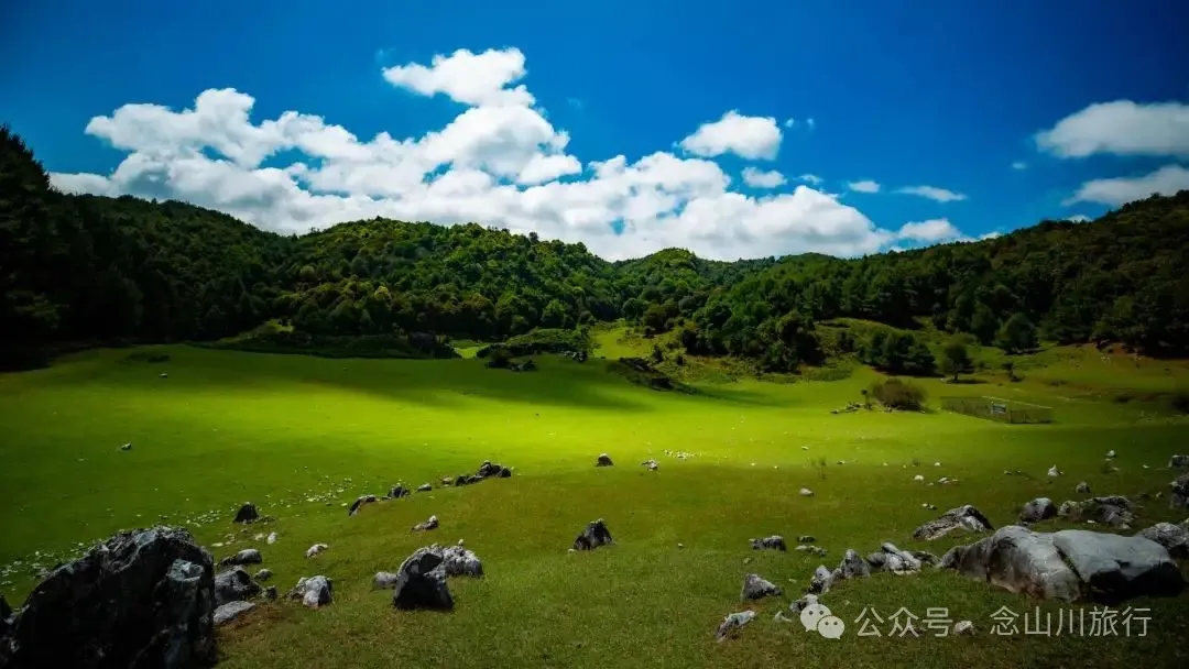 Dali Weishan Qingyun Meadow: The Most Beautiful Moment of the Green Waves at 2,600 Meters Altitude, Healing 10,000 Kinds of Worldly Anxieties - Image 1
