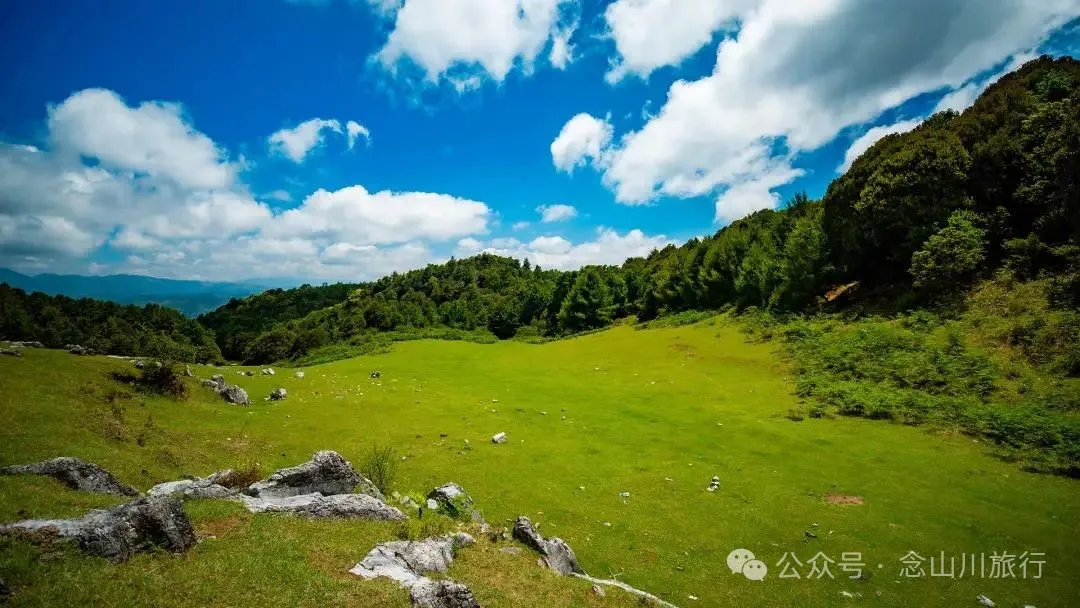 Dali Weishan Qingyun Meadow: The Most Beautiful Moment of the Green Waves at 2,600 Meters Altitude, Healing 10,000 Kinds of Worldly Anxieties - Image 10