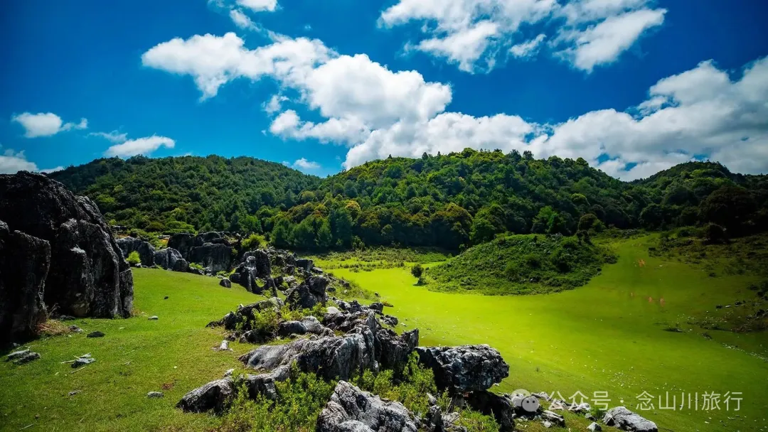 Dali Weishan Qingyun Meadow: The Most Beautiful Moment of the Green Waves at 2,600 Meters Altitude, Healing 10,000 Kinds of Worldly Anxieties - Image 12