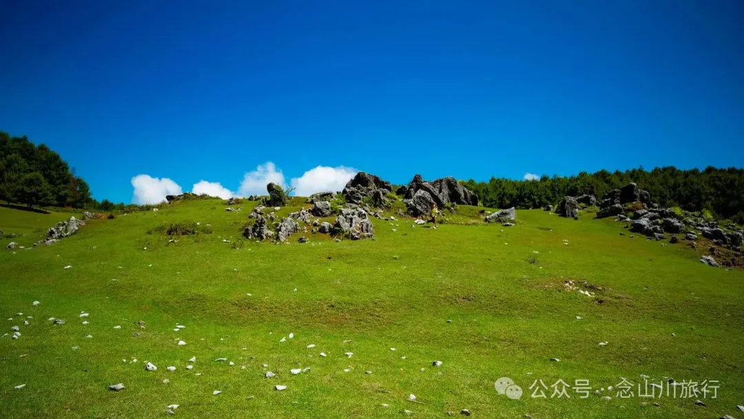 Dali Weishan Qingyun Meadow: The Most Beautiful Moment of the Green Waves at 2,600 Meters Altitude, Healing 10,000 Kinds of Worldly Anxieties - Image 13