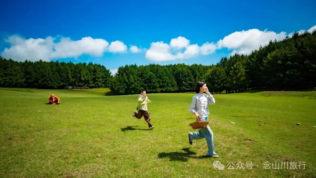 Dali Weishan Qingyun Meadow: The Most Beautiful Moment of the Green Waves at 2,600 Meters Altitude, Healing 10,000 Kinds of Worldly Anxieties - Image 14