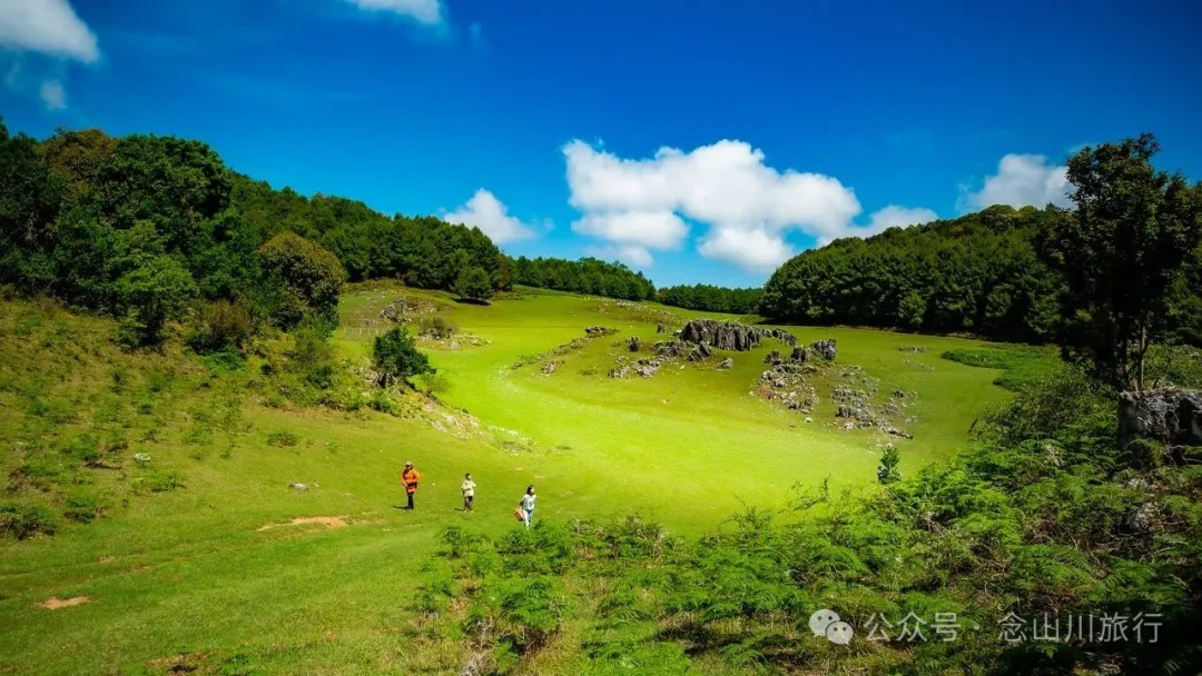 Dali Weishan Qingyun Meadow: The Most Beautiful Moment of the Green Waves at 2,600 Meters Altitude, Healing 10,000 Kinds of Worldly Anxieties - Image 16