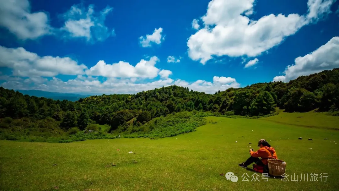 Dali Weishan Qingyun Meadow: The Most Beautiful Moment of the Green Waves at 2,600 Meters Altitude, Healing 10,000 Kinds of Worldly Anxieties - Image 17