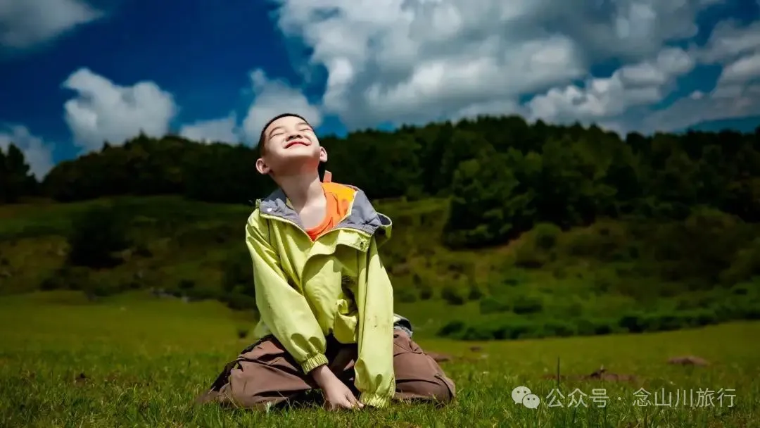 Dali Weishan Qingyun Meadow: The Most Beautiful Moment of the Green Waves at 2,600 Meters Altitude, Healing 10,000 Kinds of Worldly Anxieties - Image 18
