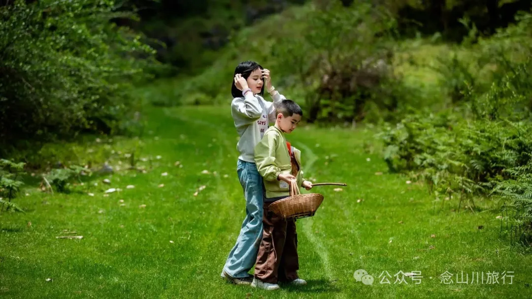 Dali Weishan Qingyun Meadow: The Most Beautiful Moment of the Green Waves at 2,600 Meters Altitude, Healing 10,000 Kinds of Worldly Anxieties - Image 19