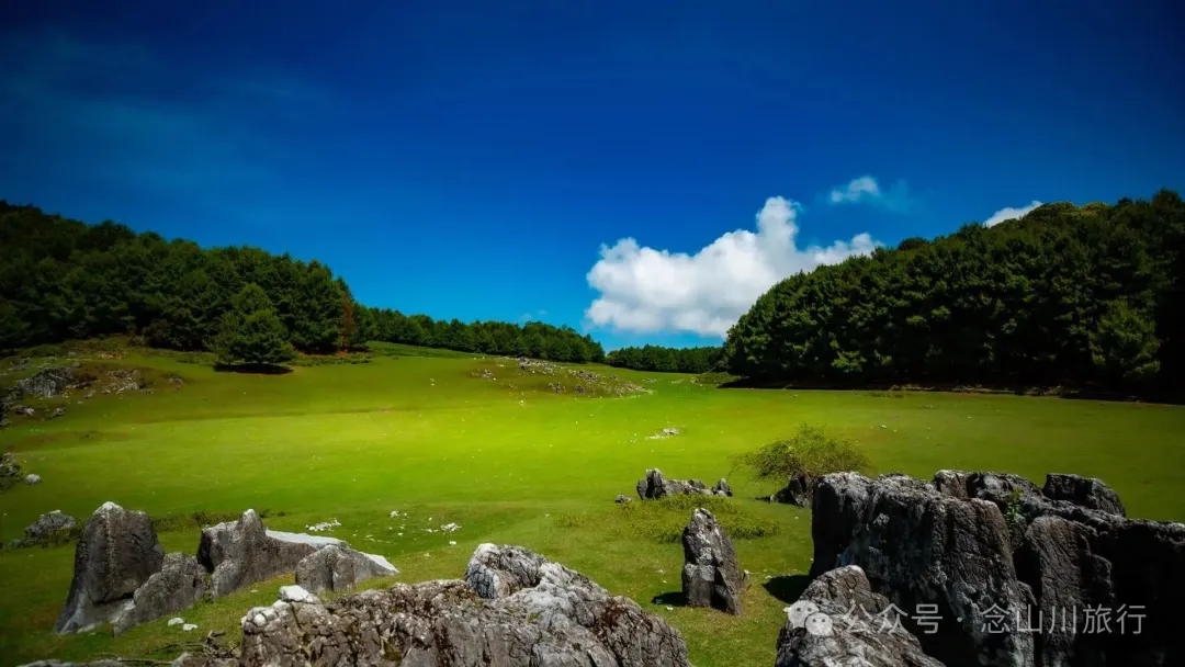 Dali Weishan Qingyun Meadow: The Most Beautiful Moment of the Green Waves at 2,600 Meters Altitude, Healing 10,000 Kinds of Worldly Anxieties - Image 2