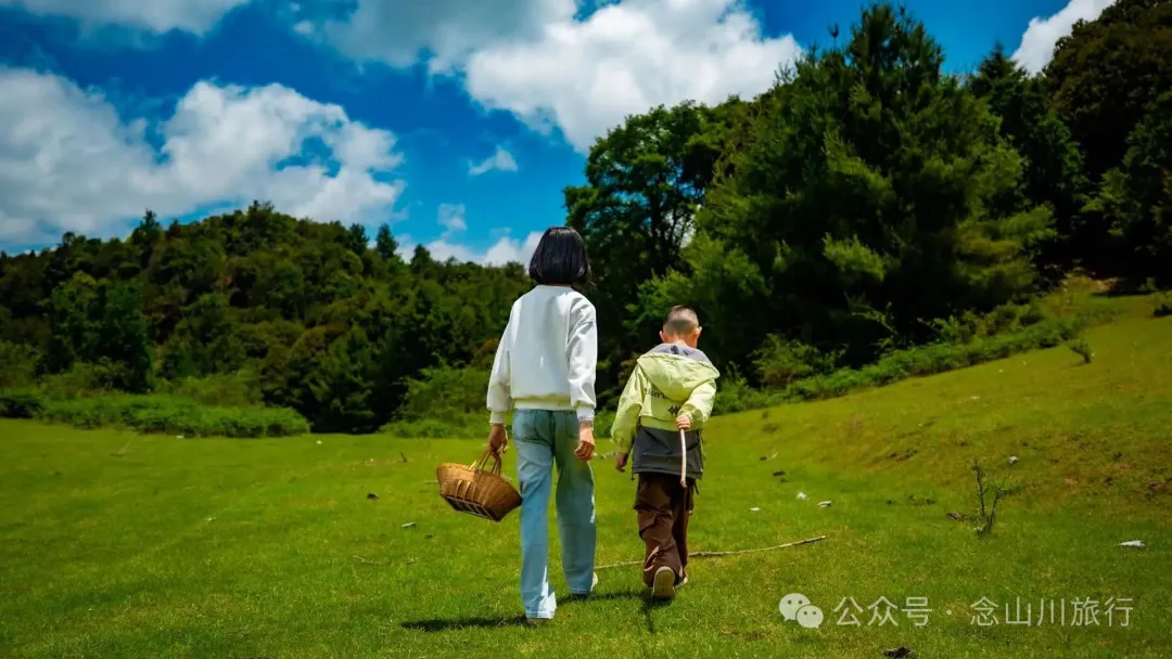 Dali Weishan Qingyun Meadow: The Most Beautiful Moment of the Green Waves at 2,600 Meters Altitude, Healing 10,000 Kinds of Worldly Anxieties - Image 20