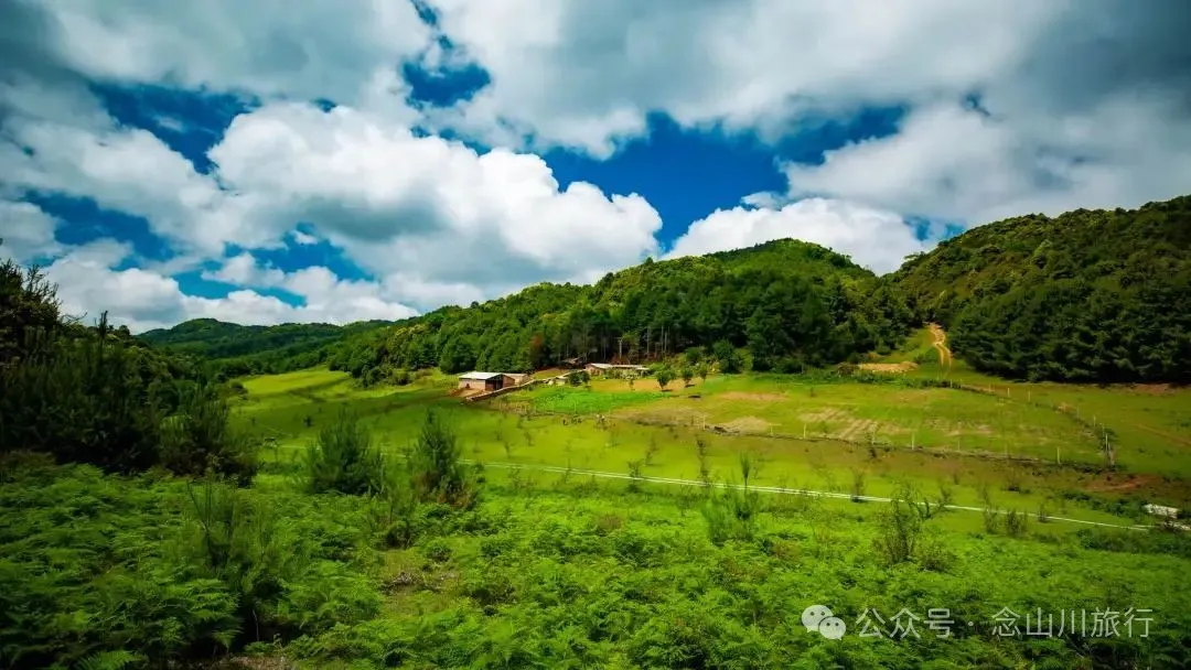 Dali Weishan Qingyun Meadow: The Most Beautiful Moment of the Green Waves at 2,600 Meters Altitude, Healing 10,000 Kinds of Worldly Anxieties - Image 22