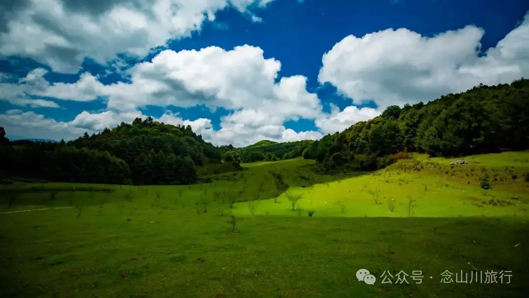 Dali Weishan Qingyun Meadow: The Most Beautiful Moment of the Green Waves at 2,600 Meters Altitude, Healing 10,000 Kinds of Worldly Anxieties - Image 23