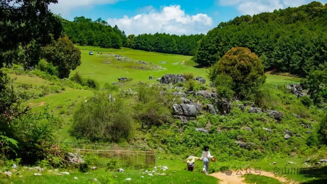 Dali Weishan Qingyun Meadow: The Most Beautiful Moment of the Green Waves at 2,600 Meters Altitude, Healing 10,000 Kinds of Worldly Anxieties - Image 32
