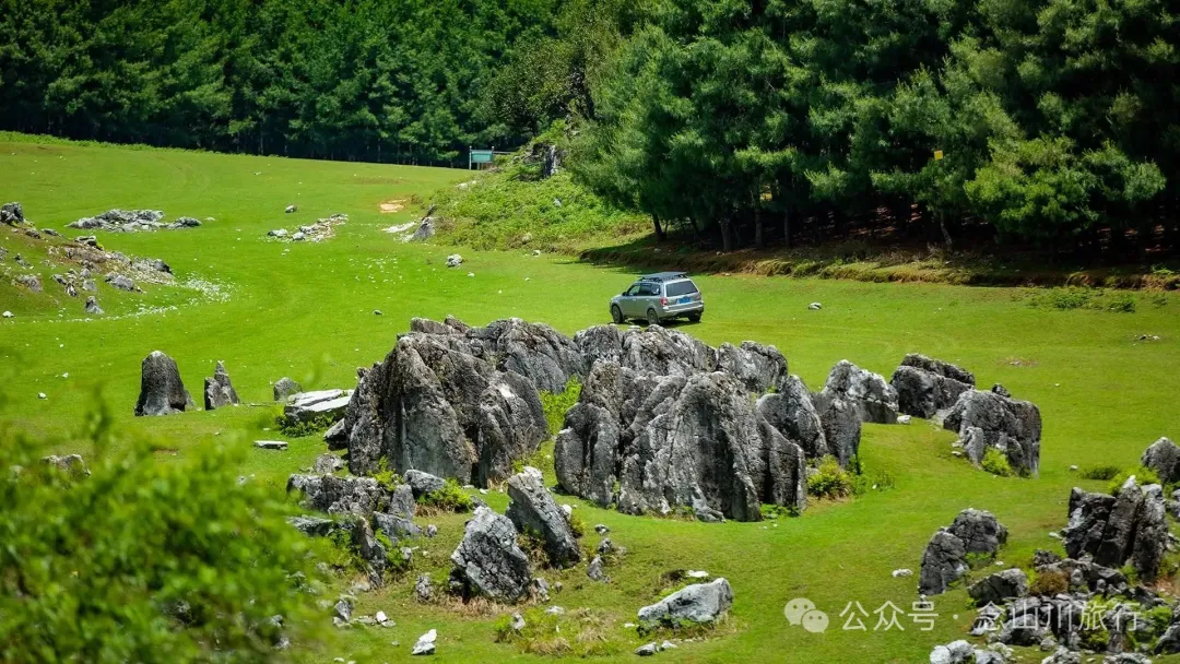 Dali Weishan Qingyun Meadow: The Most Beautiful Moment of the Green Waves at 2,600 Meters Altitude, Healing 10,000 Kinds of Worldly Anxieties - Image 33