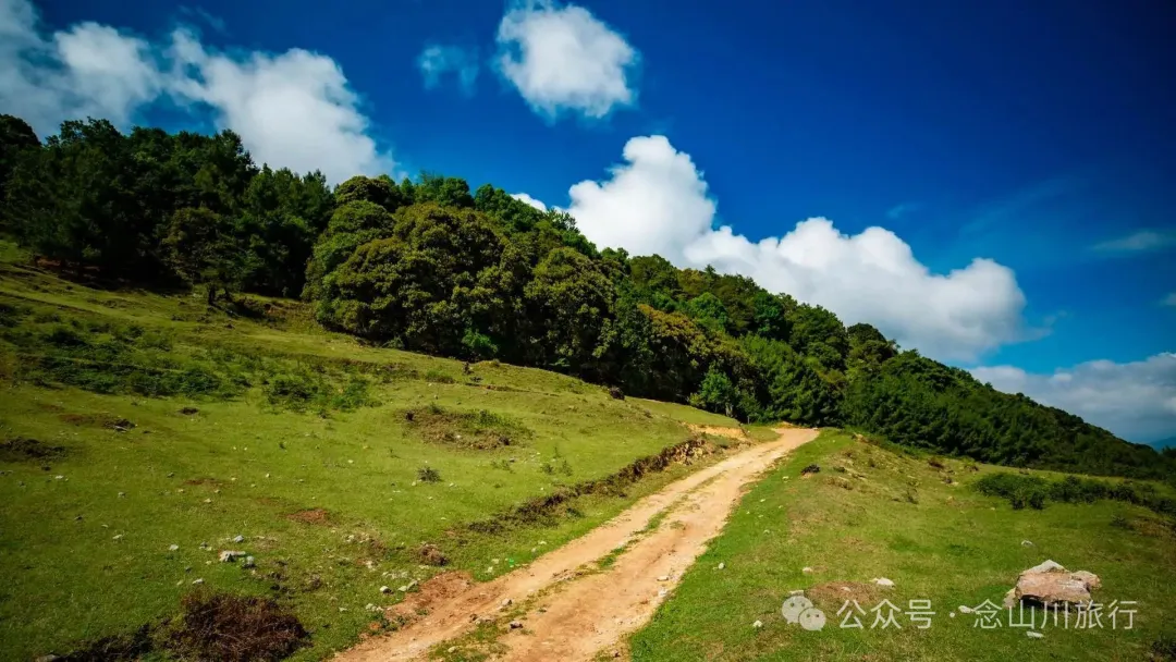 Dali Weishan Qingyun Meadow: The Most Beautiful Moment of the Green Waves at 2,600 Meters Altitude, Healing 10,000 Kinds of Worldly Anxieties - Image 5