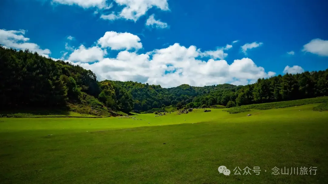 Dali Weishan Qingyun Meadow: The Most Beautiful Moment of the Green Waves at 2,600 Meters Altitude, Healing 10,000 Kinds of Worldly Anxieties - Image 8