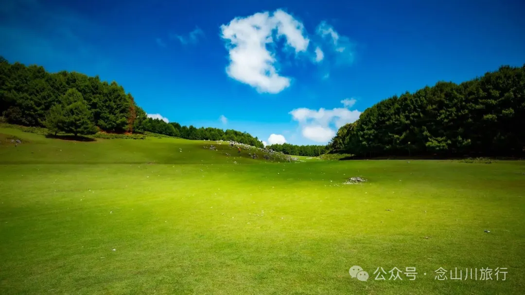 Dali Weishan Qingyun Meadow: The Most Beautiful Moment of the Green Waves at 2,600 Meters Altitude, Healing 10,000 Kinds of Worldly Anxieties - Image 9