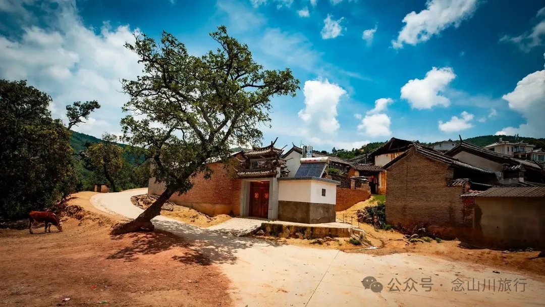 大理巍山巍宝山乡司妈里村：群山之间的黛瓦屋檐，与无人认领的黄昏 - 第18张