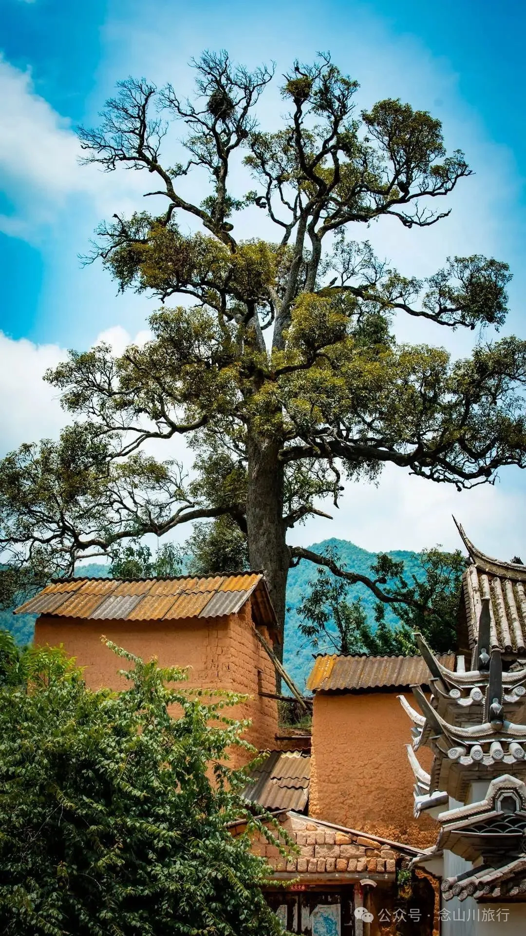 大理巍山巍宝山乡司妈里村：群山之间的黛瓦屋檐，与无人认领的黄昏 - 第31张
