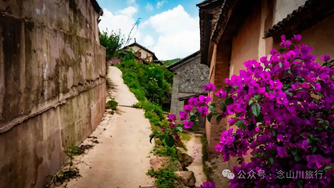 大理巍山巍宝山乡司妈里村：群山之间的黛瓦屋檐，与无人认领的黄昏 - 第6张