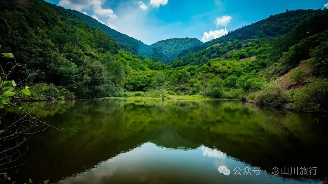 大理巍山巍宝山乡羊山坡村:秘林下藏着天然水塘和草地,能露营、能发呆 - 第1张