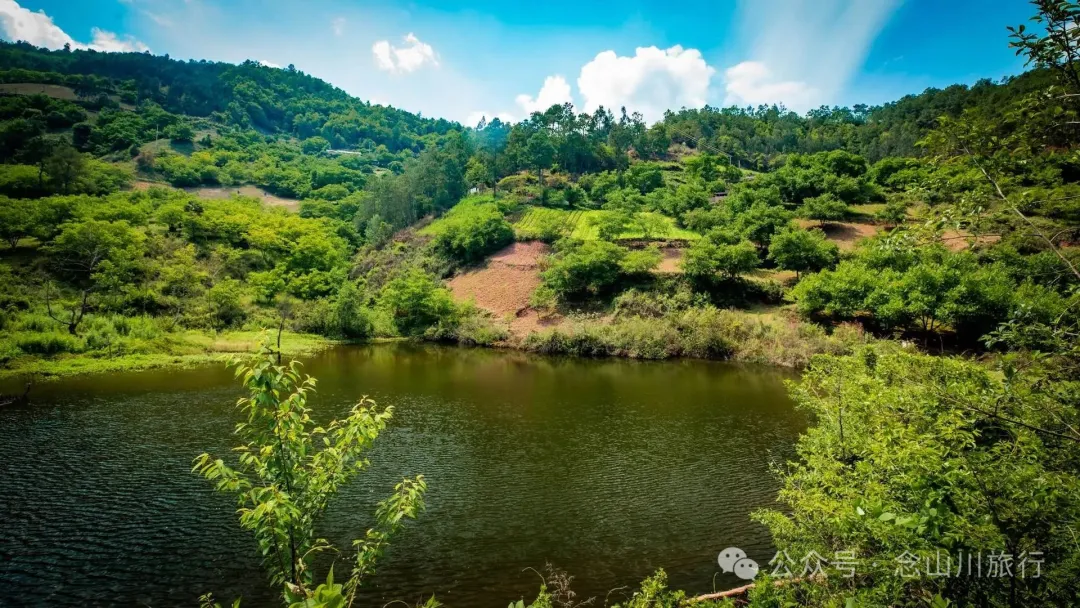 大理巍山巍宝山乡羊山坡村:秘林下藏着天然水塘和草地,能露营、能发呆 - 第10张