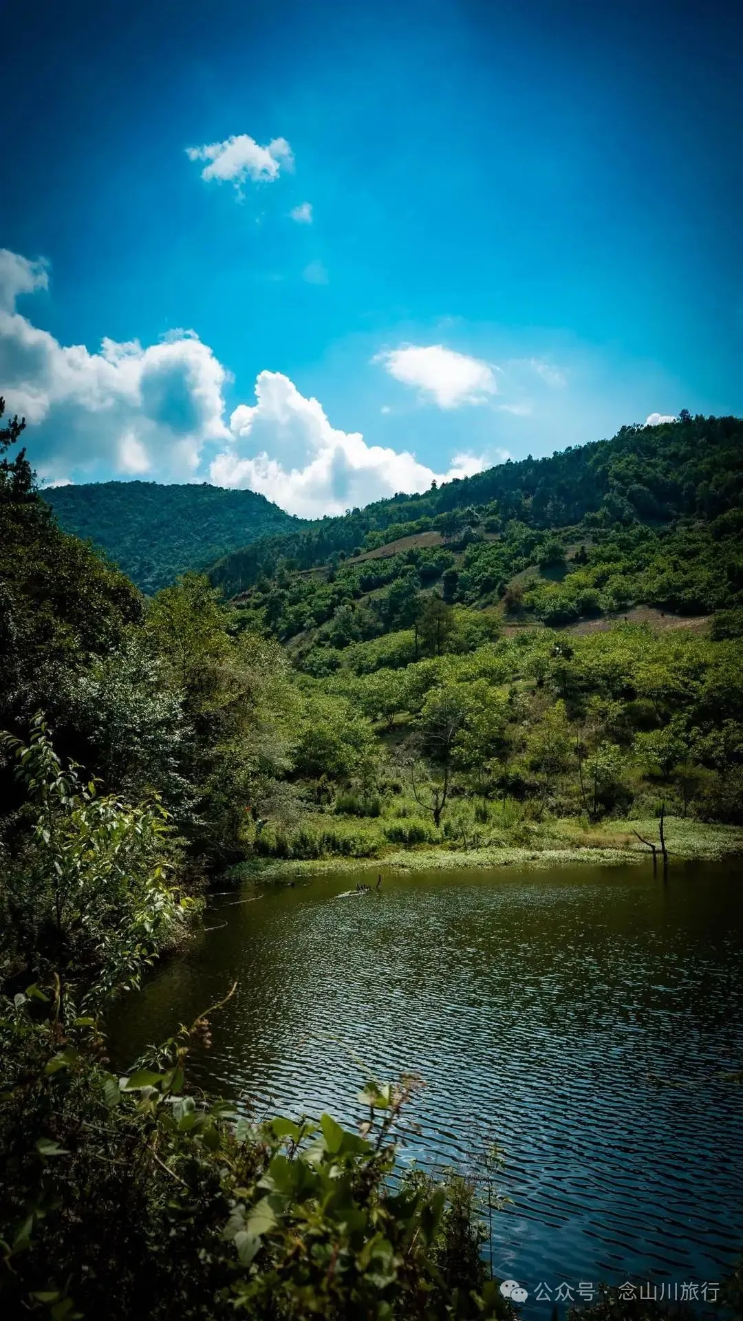 大理巍山巍宝山乡羊山坡村:秘林下藏着天然水塘和草地,能露营、能发呆 - 第11张