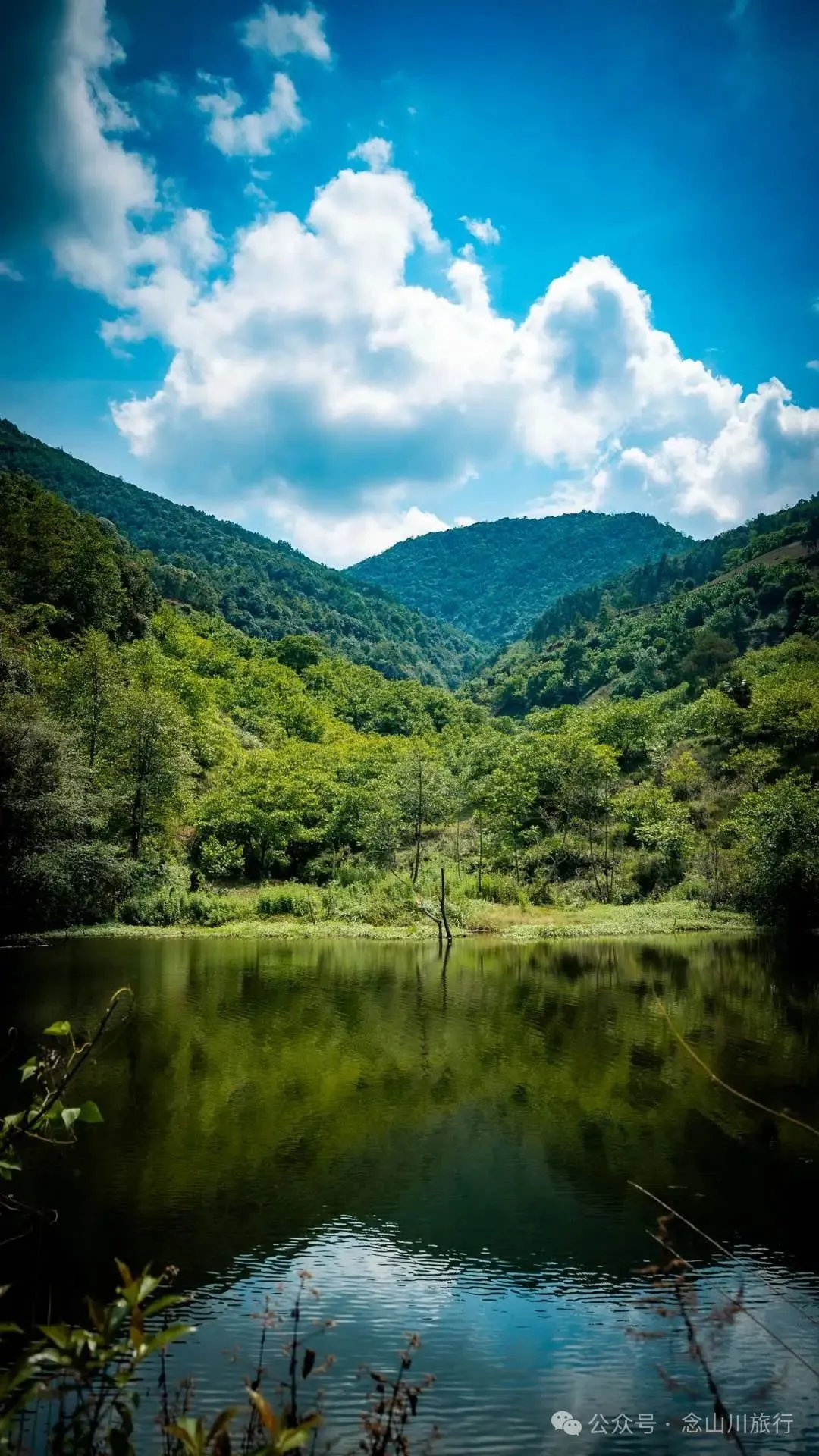 大理巍山巍宝山乡羊山坡村:秘林下藏着天然水塘和草地,能露营、能发呆 - 第12张