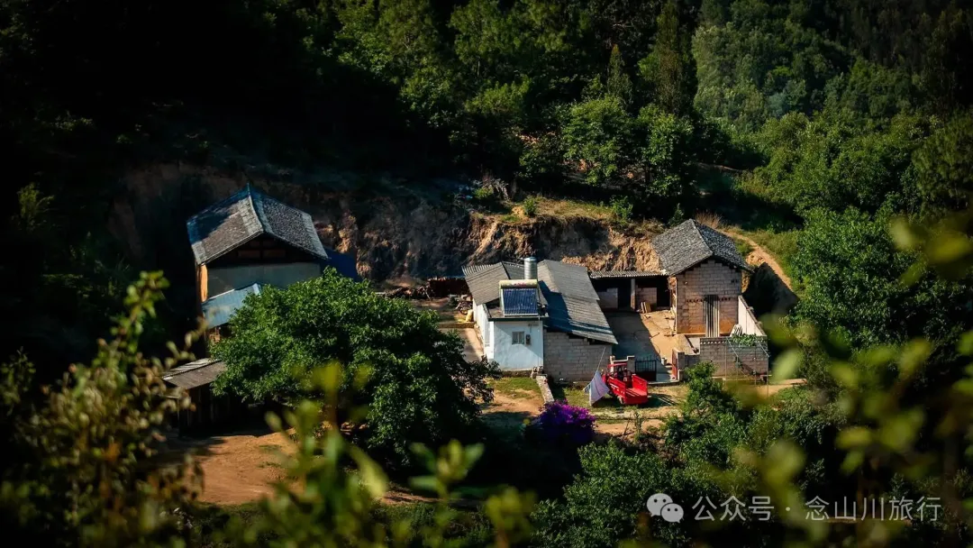大理巍山巍宝山乡羊山坡村:秘林下藏着天然水塘和草地,能露营、能发呆 - 第17张