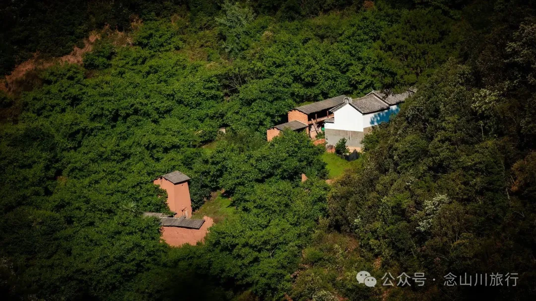 大理巍山巍宝山乡羊山坡村:秘林下藏着天然水塘和草地,能露营、能发呆 - 第18张