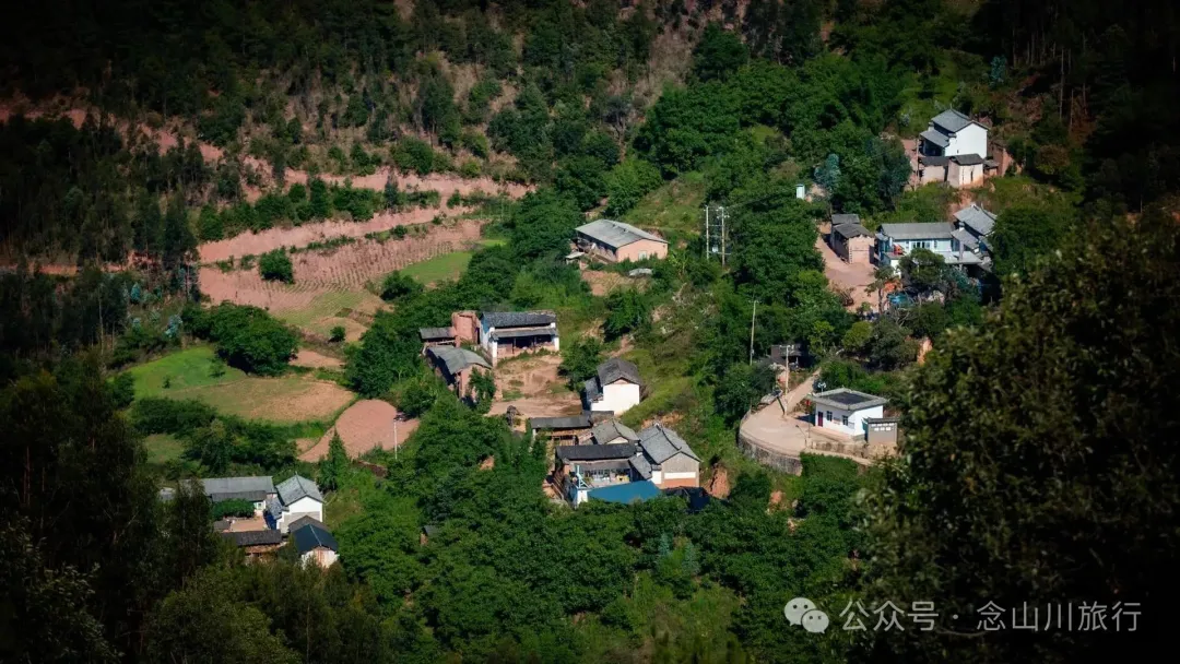 大理巍山巍宝山乡羊山坡村:秘林下藏着天然水塘和草地,能露营、能发呆 - 第19张