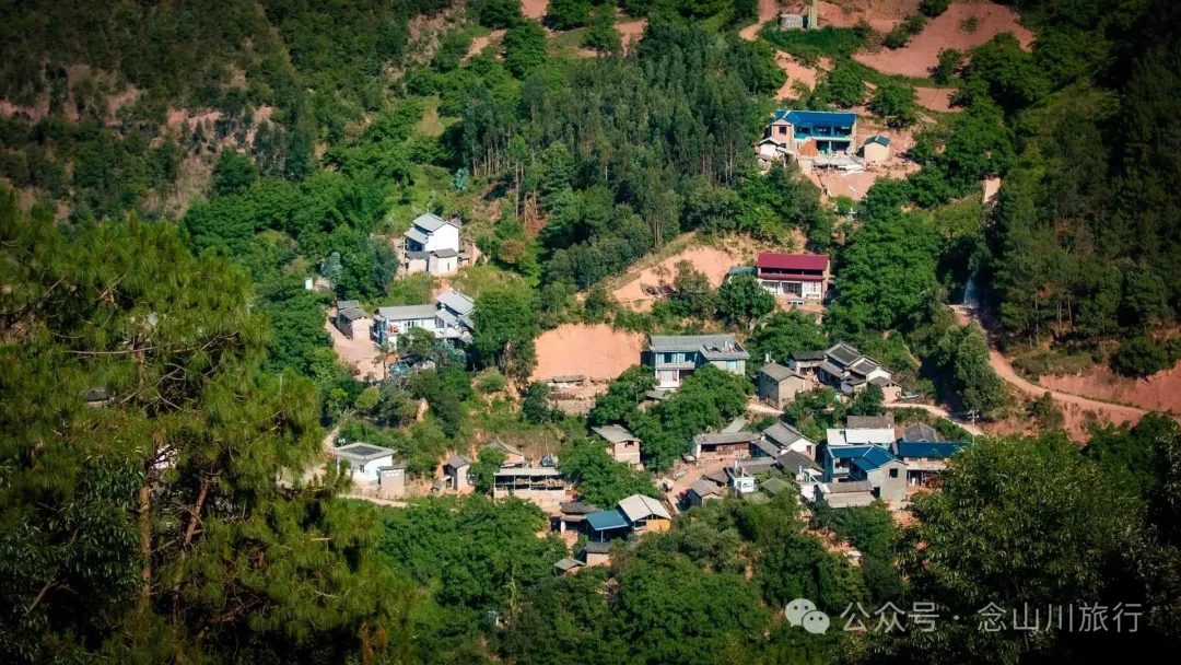 大理巍山巍宝山乡羊山坡村:秘林下藏着天然水塘和草地,能露营、能发呆 - 第20张