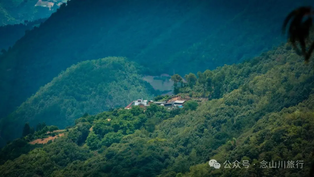 大理巍山巍宝山乡羊山坡村:秘林下藏着天然水塘和草地,能露营、能发呆 - 第3张