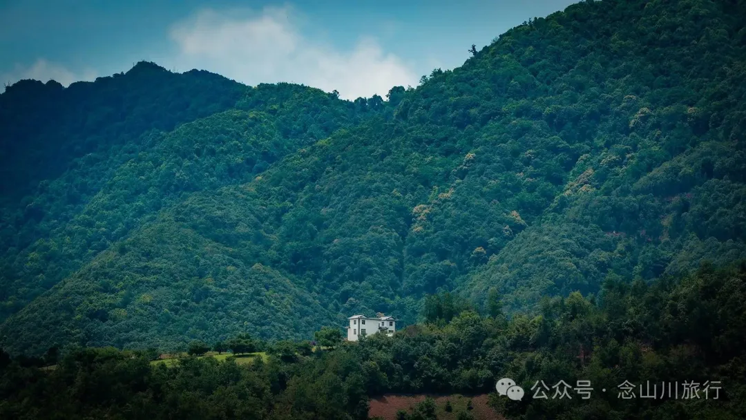 大理巍山巍宝山乡羊山坡村:秘林下藏着天然水塘和草地,能露营、能发呆 - 第6张