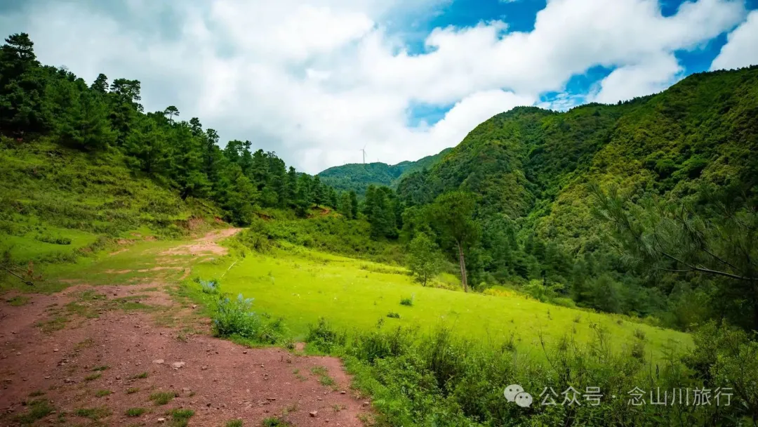 大理巍山凤山村森林草甸：离古城不远，却远离喧嚣，只有牛羊和牧人 - 第1张