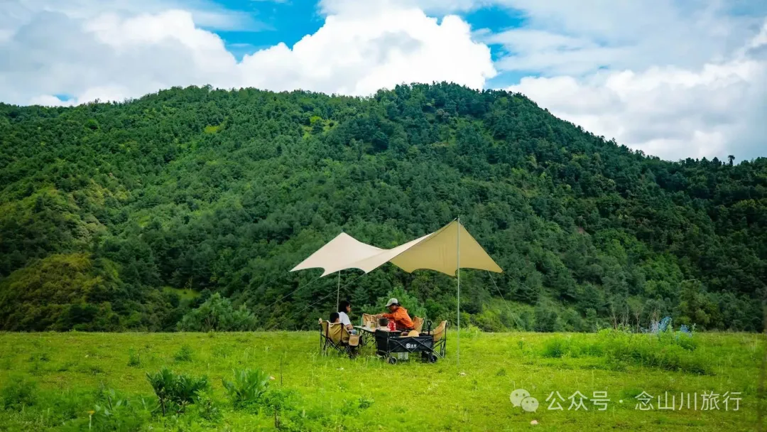大理巍山凤山村森林草甸：离古城不远，却远离喧嚣，只有牛羊和牧人 - 第14张