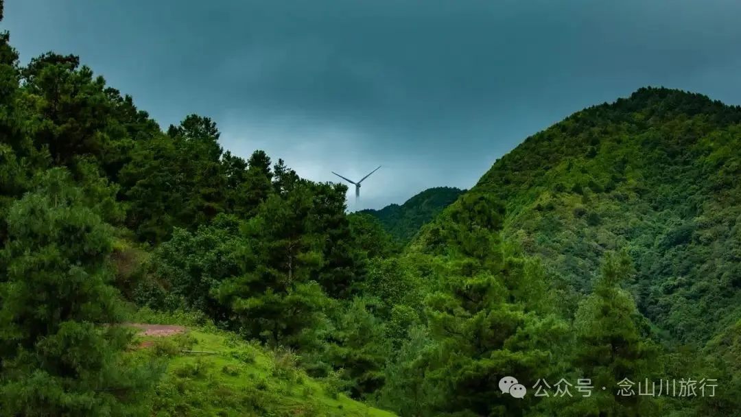 大理巍山凤山村森林草甸：离古城不远，却远离喧嚣，只有牛羊和牧人 - 第16张