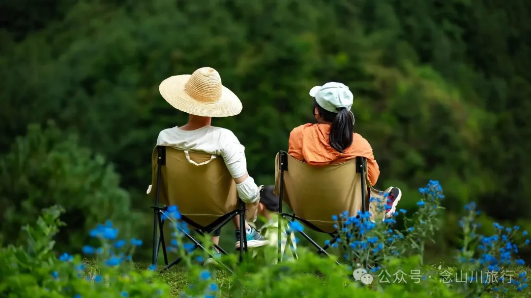 大理巍山凤山村森林草甸：离古城不远，却远离喧嚣，只有牛羊和牧人 - 第18张