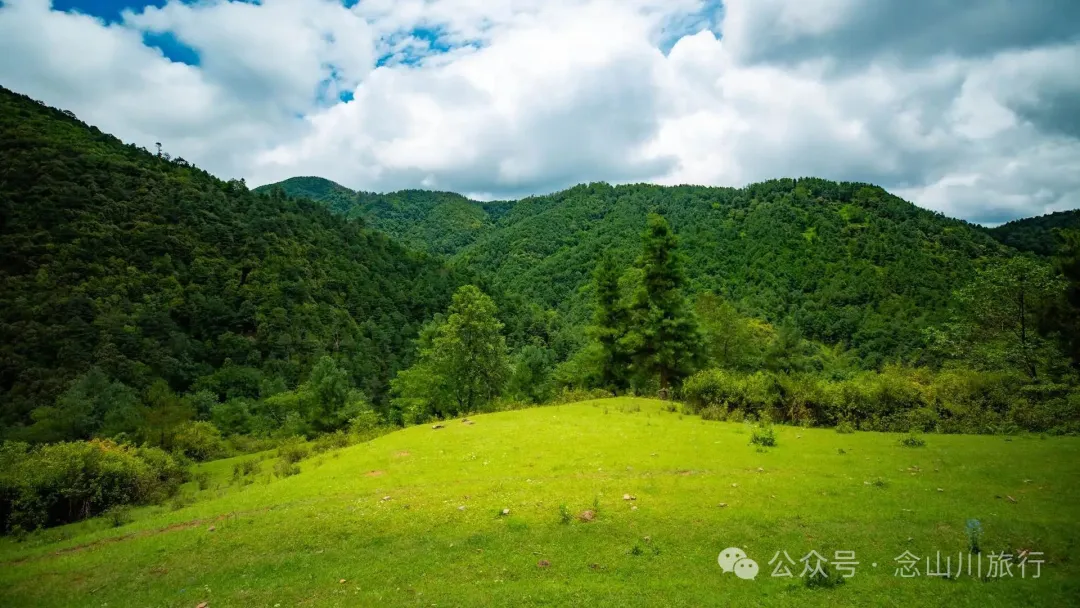 大理巍山凤山村森林草甸：离古城不远，却远离喧嚣，只有牛羊和牧人 - 第2张