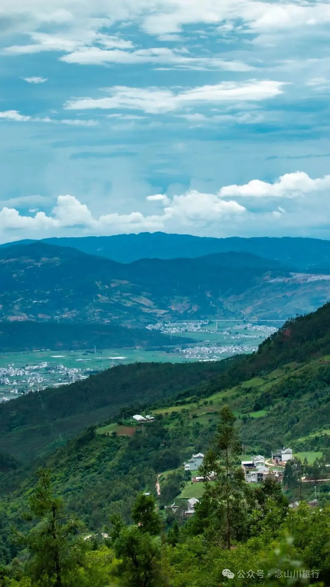 大理巍山凤山村森林草甸：离古城不远，却远离喧嚣，只有牛羊和牧人 - 第25张