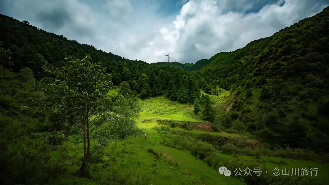 大理巍山凤山村森林草甸：离古城不远，却远离喧嚣，只有牛羊和牧人 - 第7张
