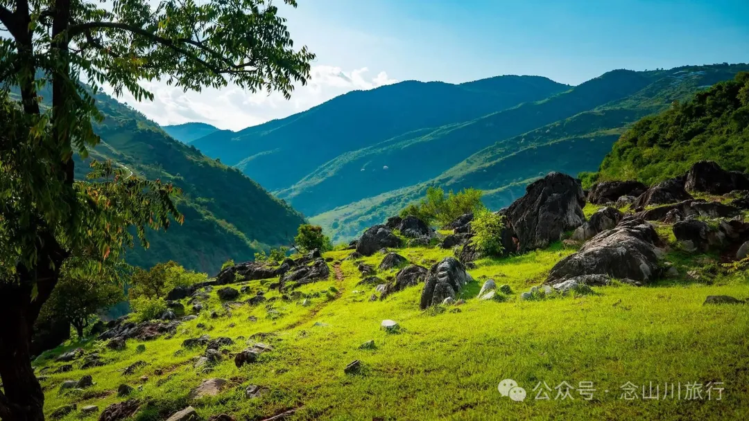 大理巍山橄榄坡：夕阳给这片雨后草甸镀金的限时美景，绿到心坎里 - 第12张