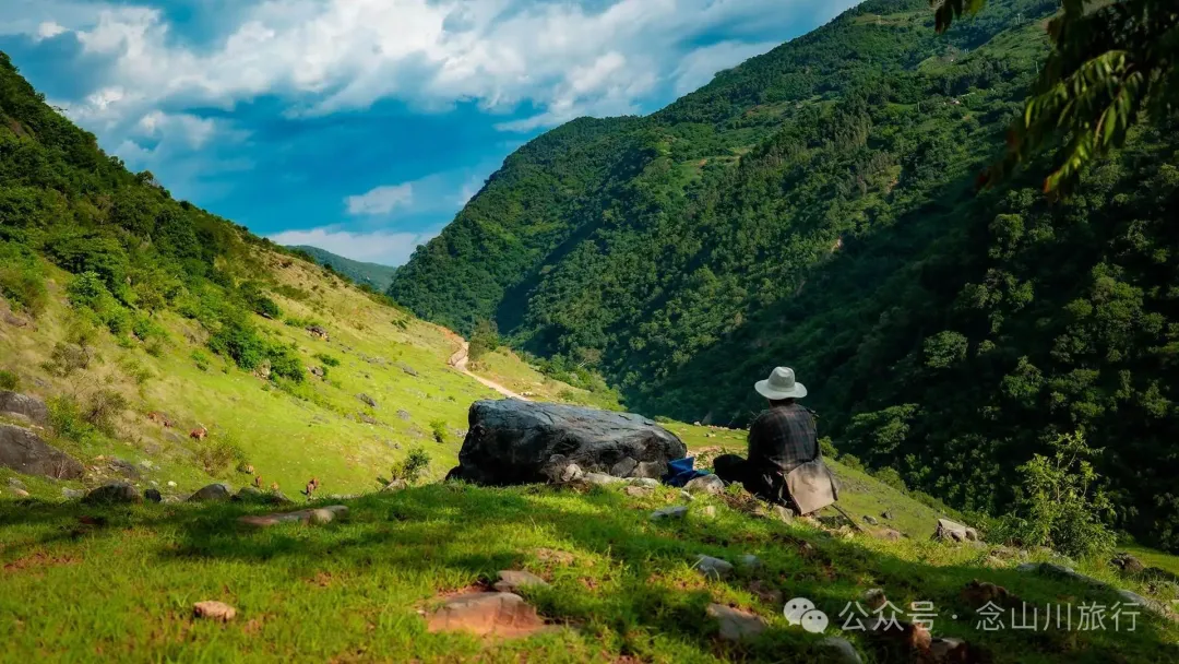 大理巍山橄榄坡：夕阳给这片雨后草甸镀金的限时美景，绿到心坎里 - 第13张